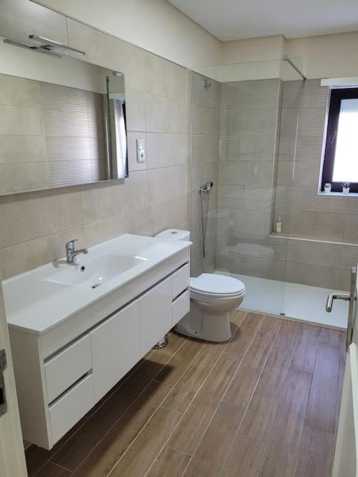 Fernandes Apartments Понте-де-Ліма Екстер'єр фото