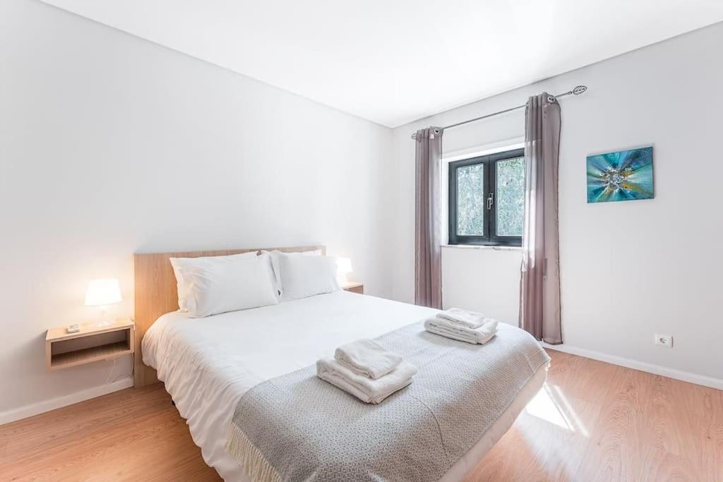 Fernandes Apartments Понте-де-Ліма Екстер'єр фото